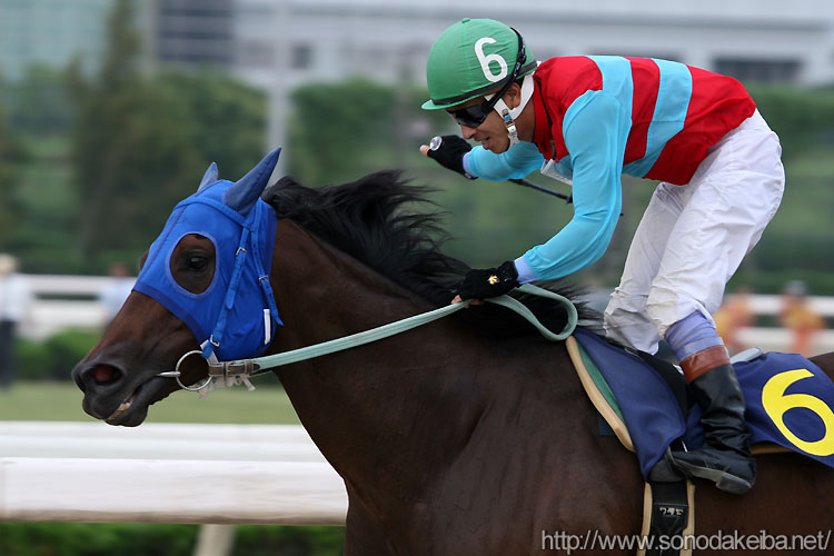 �C�u�L�I�g�q��