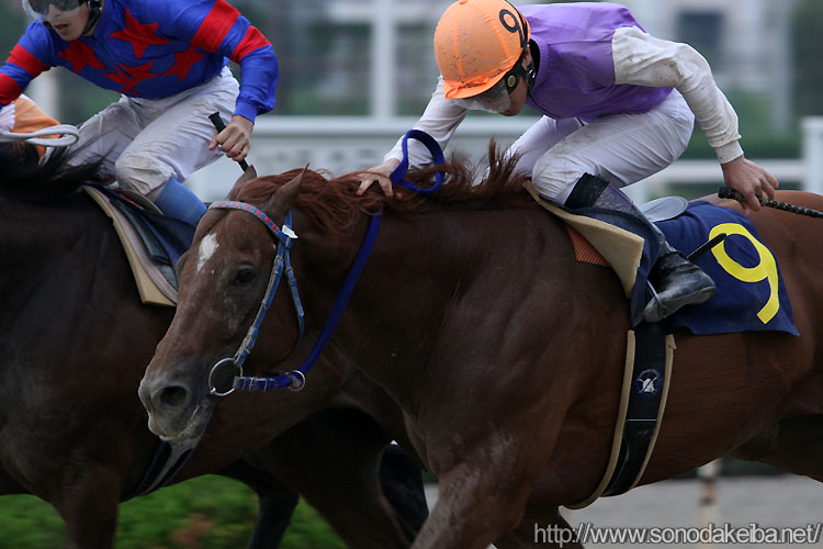 �M�������e�B�r�[�g