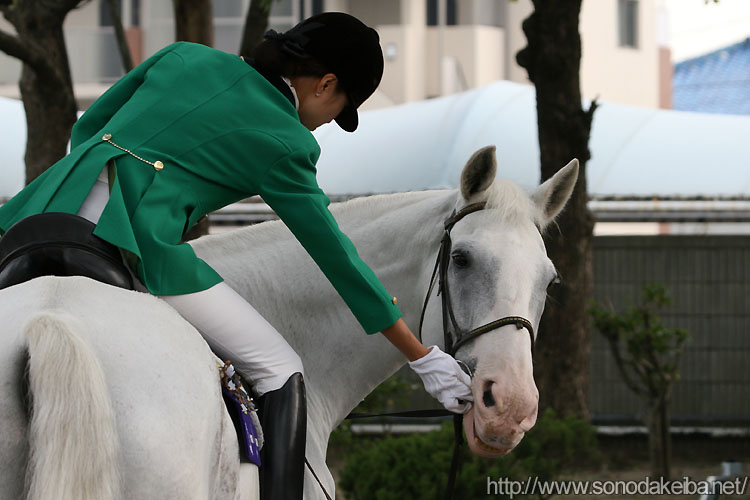 �}�R�[���[