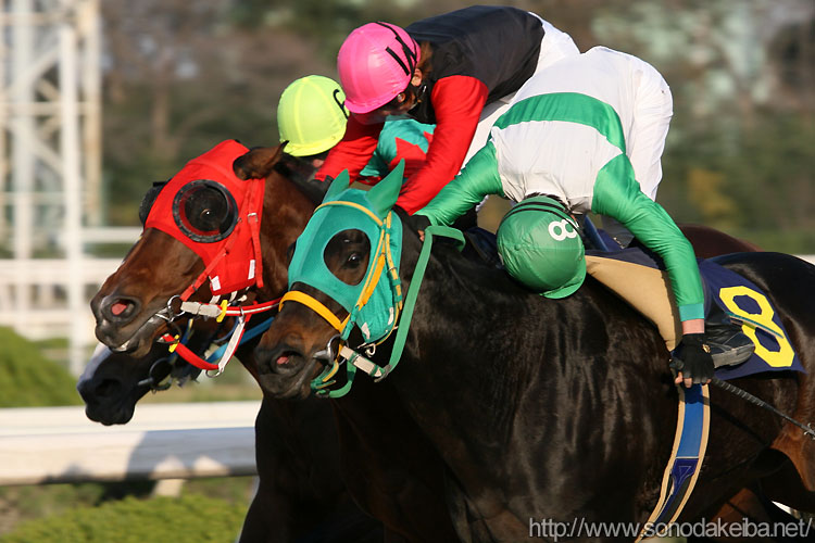 �V���[�v�u���[�Ə��Y���u�R��