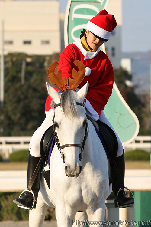 �T���^�ƃg�i�J�C