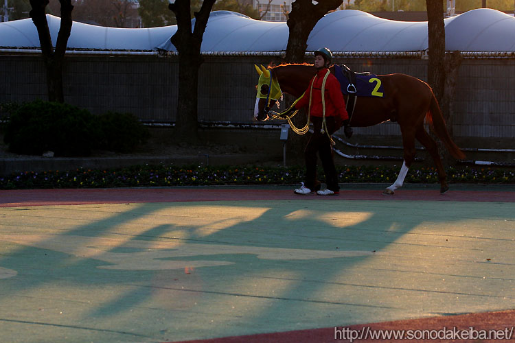 �[�z���󂯂�