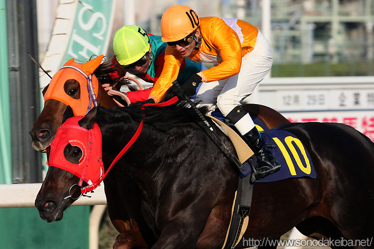 �������̂́E�E�E