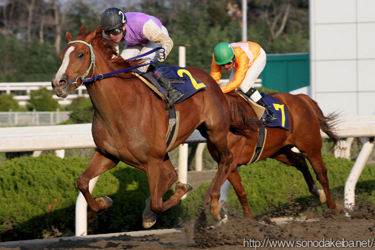 �g�T�m�f�U�[�g�Ə����R��