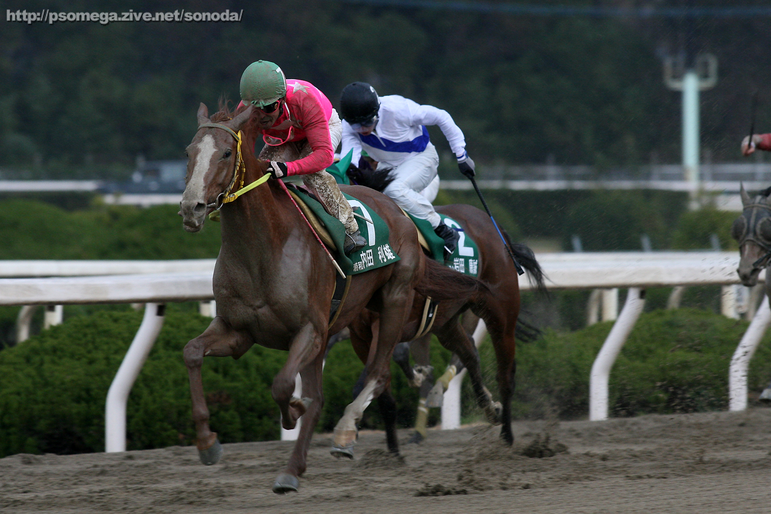 ���c���Y