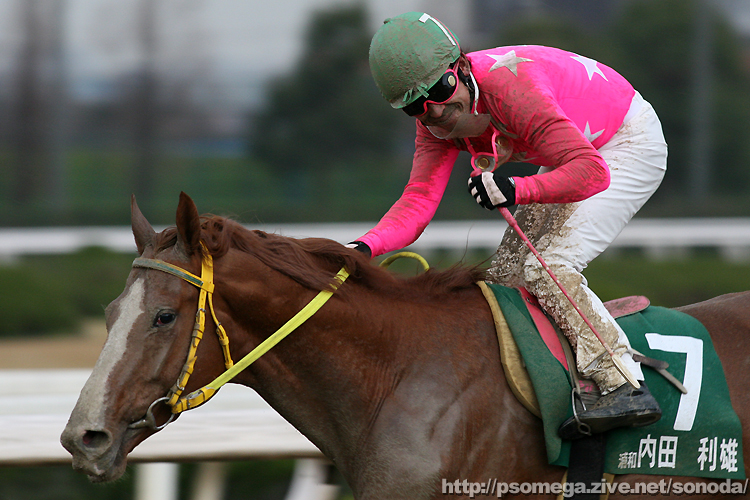 ���c���Y