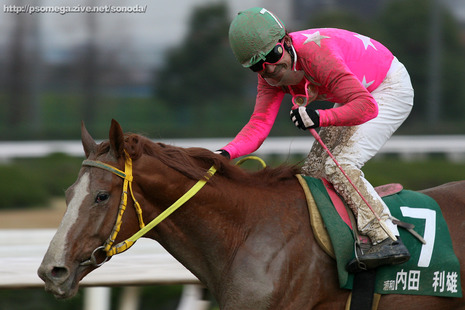 ���c���Y