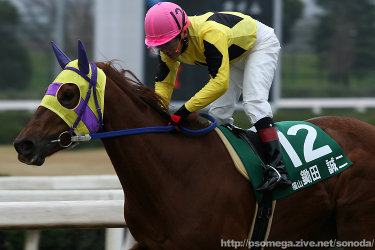 ���c����