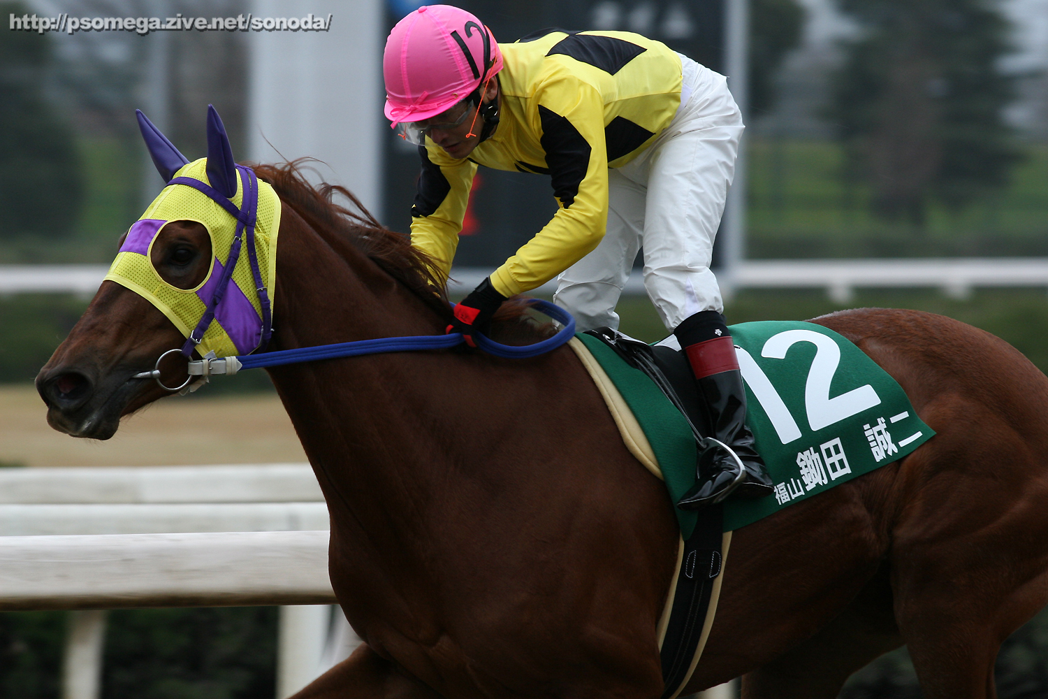 ���c����