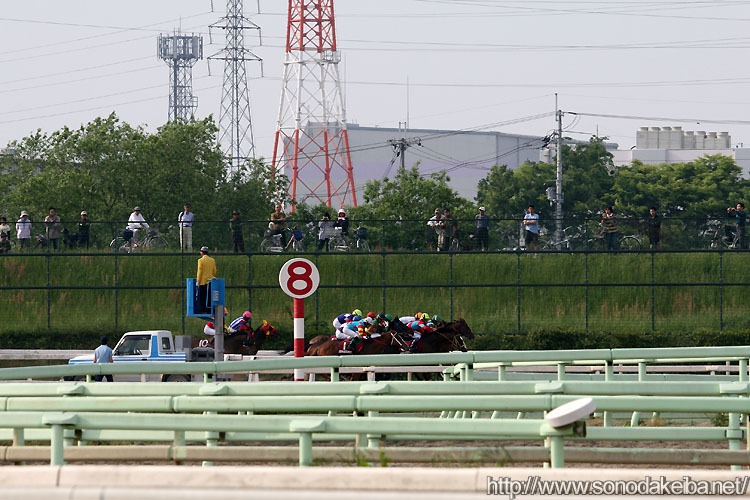 �t�F���[���s�T�o�x��