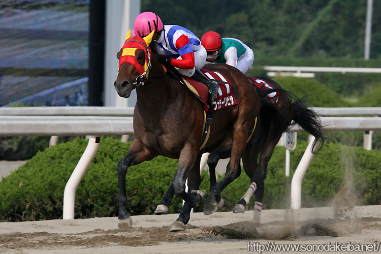 �t�F���[���s�T