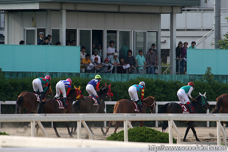 �t�F���[���s�T