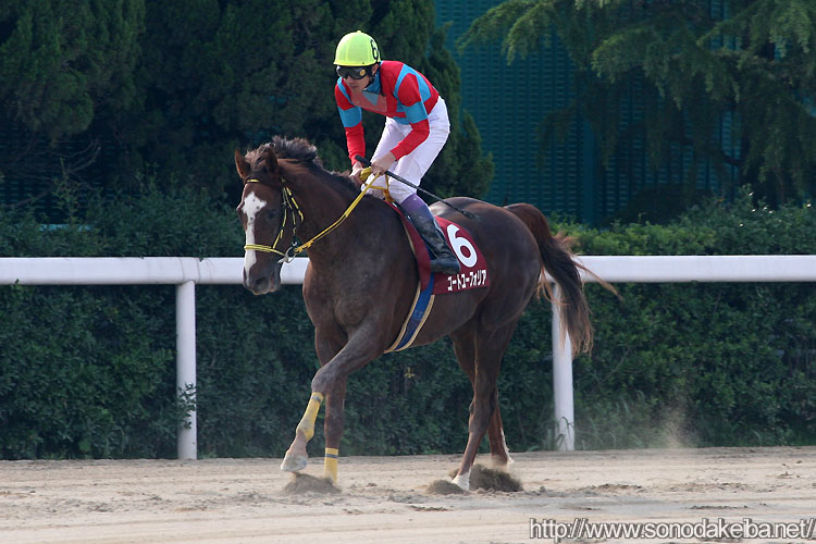 �R�[�g���[�t�H���A�ƕ��L