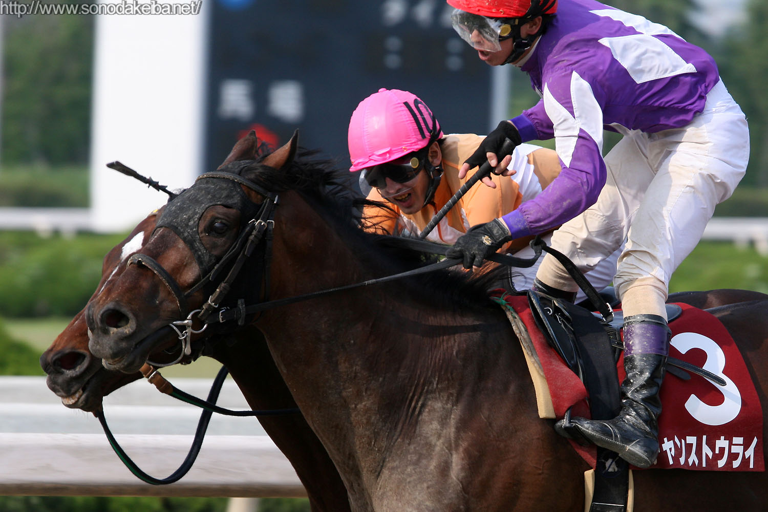 ��43�񕺌ɑ�ܓT