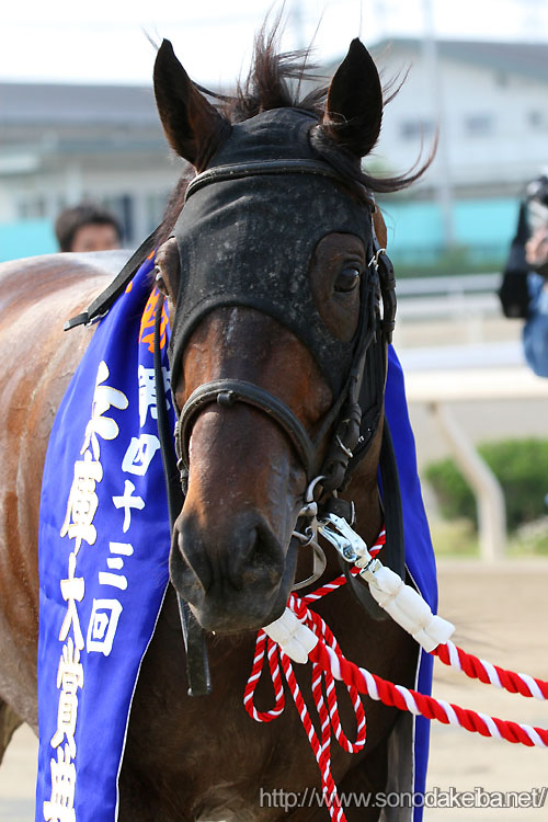 �`�����X�g�E���C