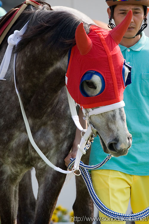 �^�}���r�N�g���[