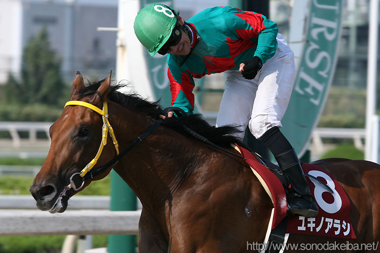 ���L�m�A���V