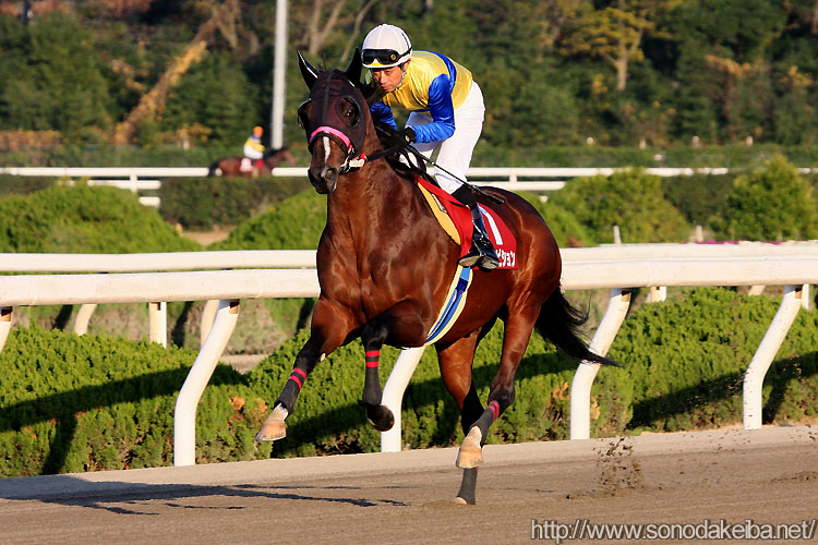 �}�T�A���r�V����