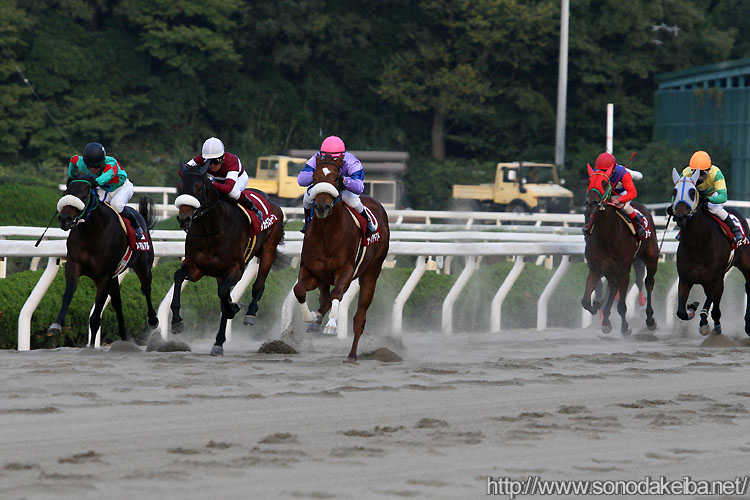 �����ɓ���e�n