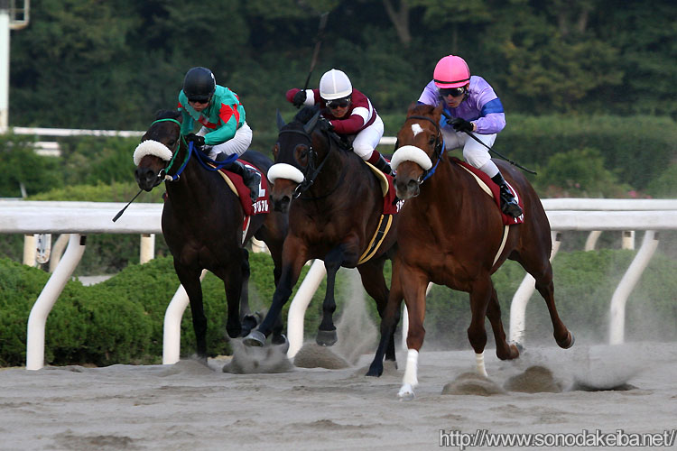 �f�B�A���}�g