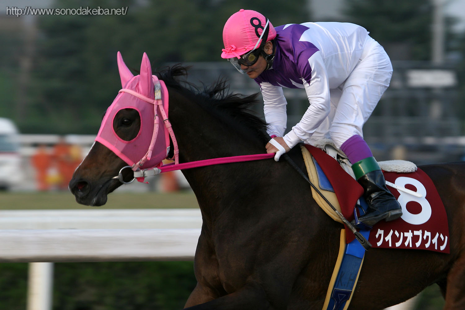 ��4�񕺌ɃN�C�[���J�b�v