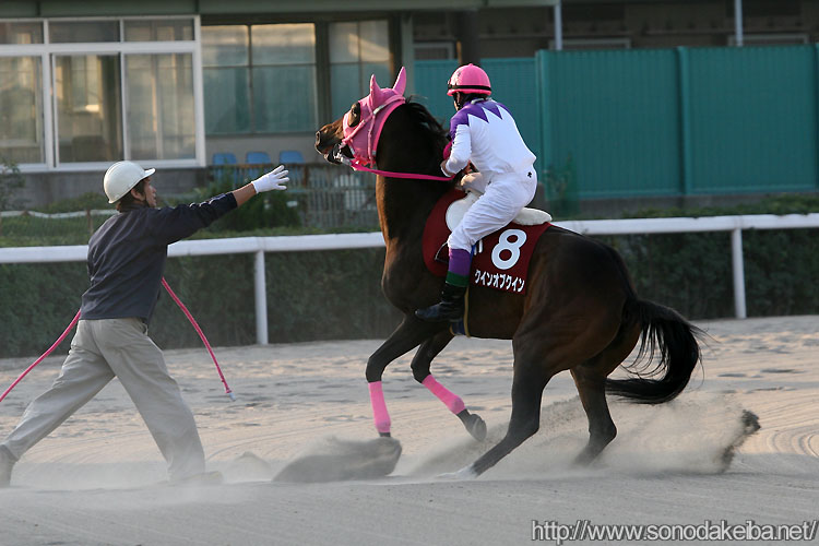 �N�C���I�u�N�C��