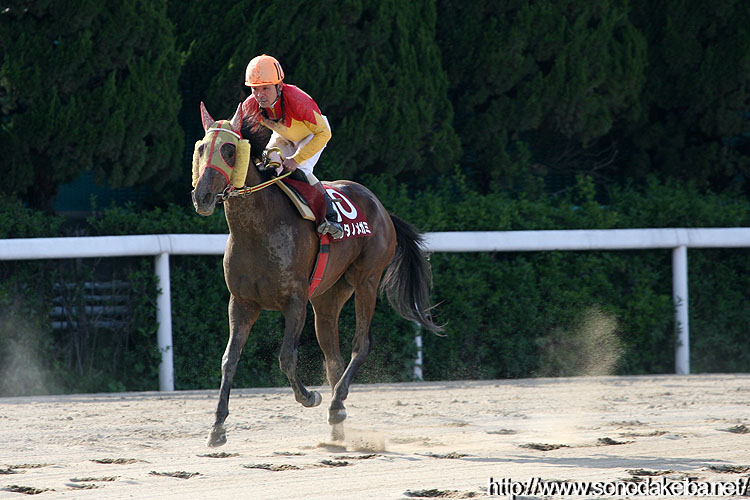 �G���^�m���K�~