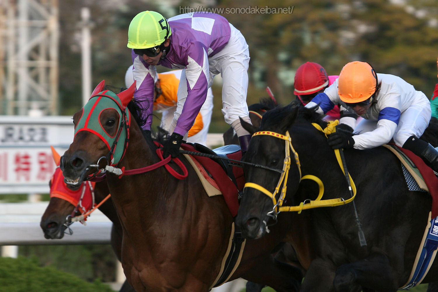 ��50�񉀓c���u