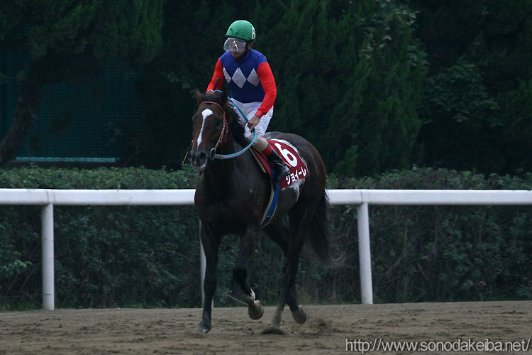 �W���C�[��