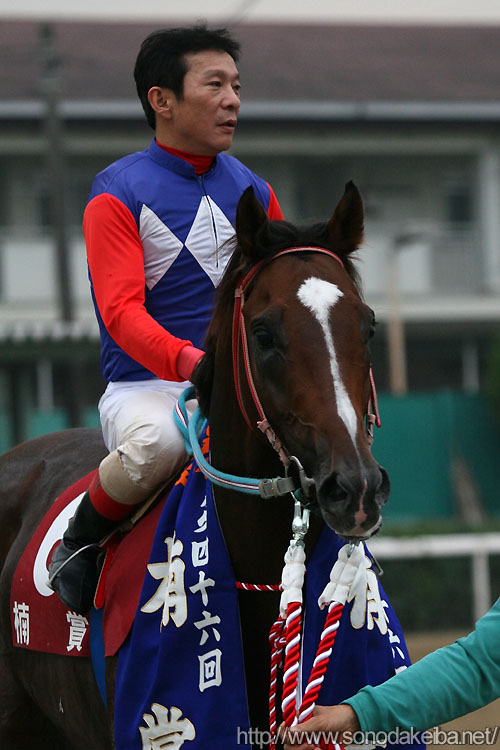 �W���C�[��