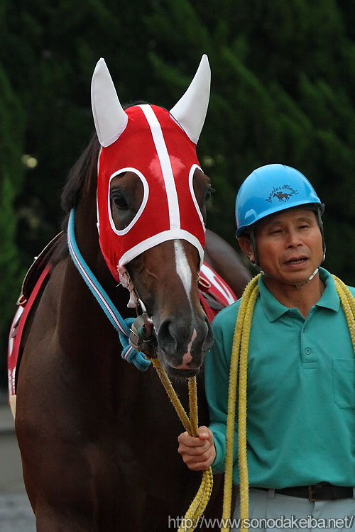 �W���C�[��