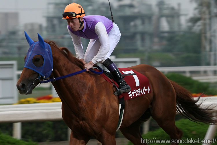 �M�������e�B�r�[�g