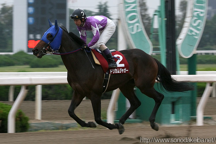 �h���J���W���K�[