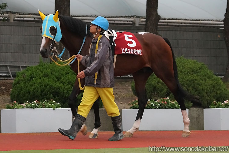 �r�[���J�~�J�[