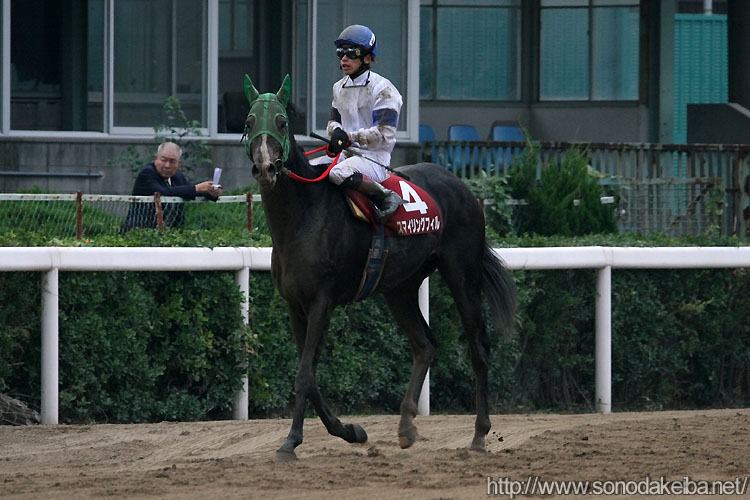 �X�}�C�����O�t�B��