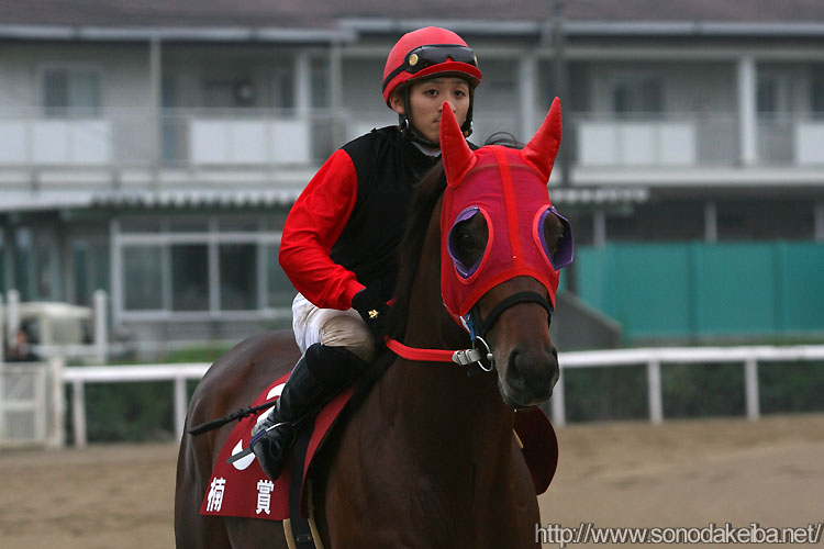 �X�s�[�f�B�o����