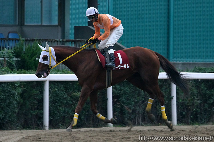 �s�[�^�[�T��