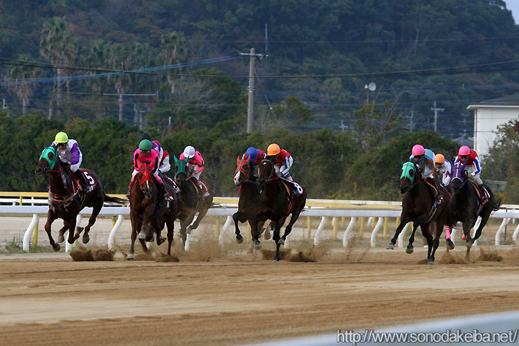 ���f�B�[�X�W���b�L�[�Y�V���[�Y2007��2���E���h