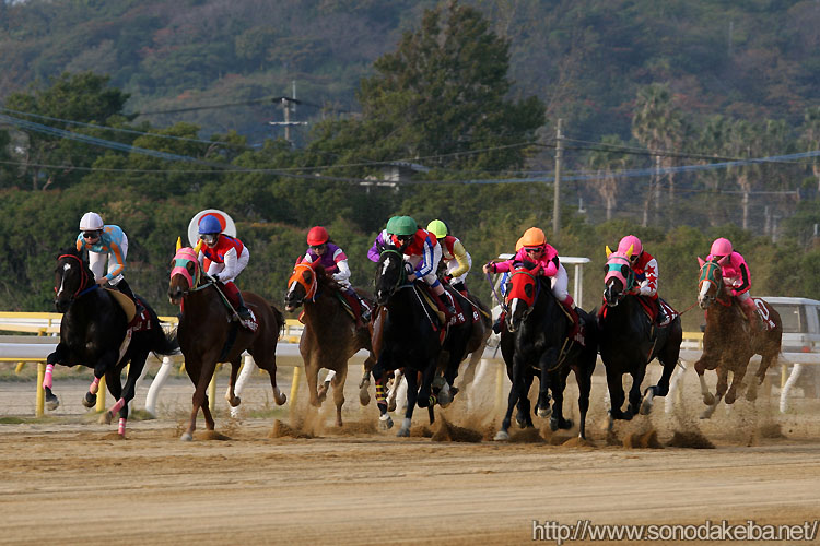 ���f�B�[�X�W���b�L�[�Y�V���[�Y2007��2���E���h