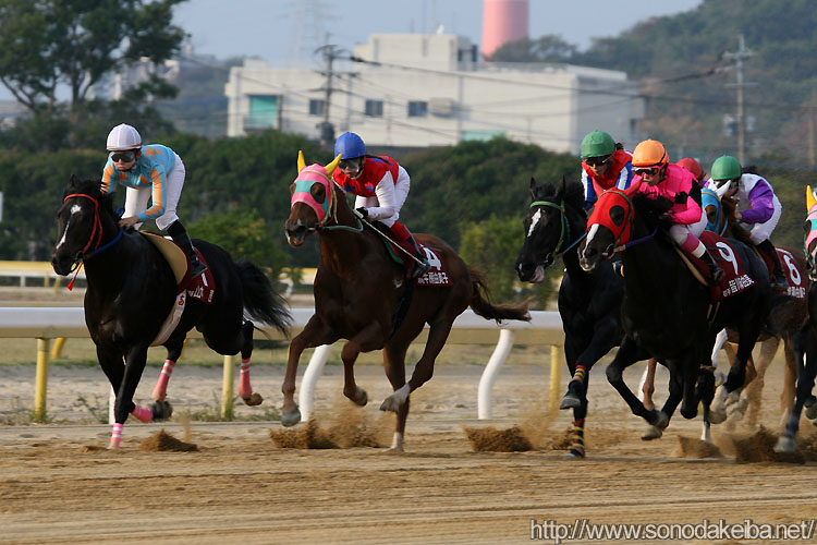 ���f�B�[�X�W���b�L�[�Y�V���[�Y2007��2���E���h