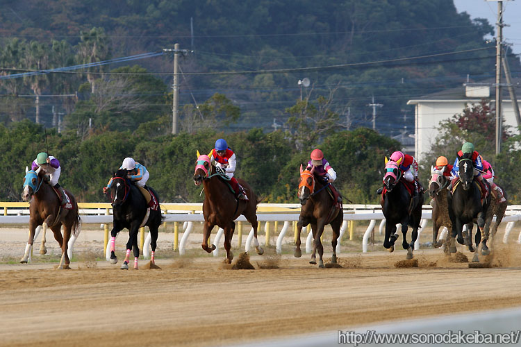 ���f�B�[�X�W���b�L�[�Y�V���[�Y2007��2���E���h