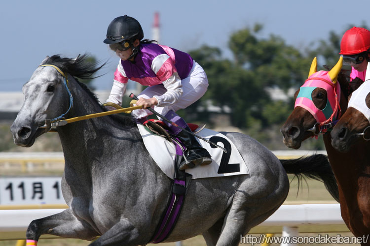 �{�����R��