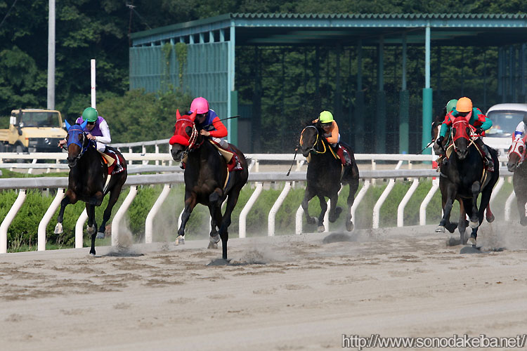 �G���^�m���K�~