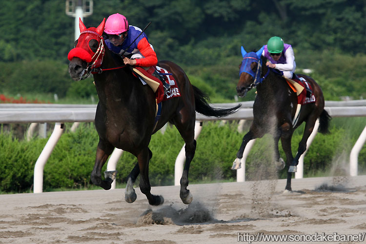 �G���^�m���K�~