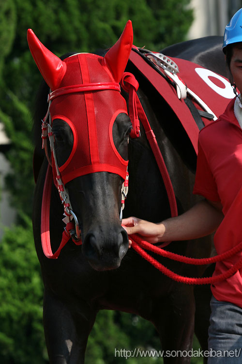 ���C�P�C���Y��