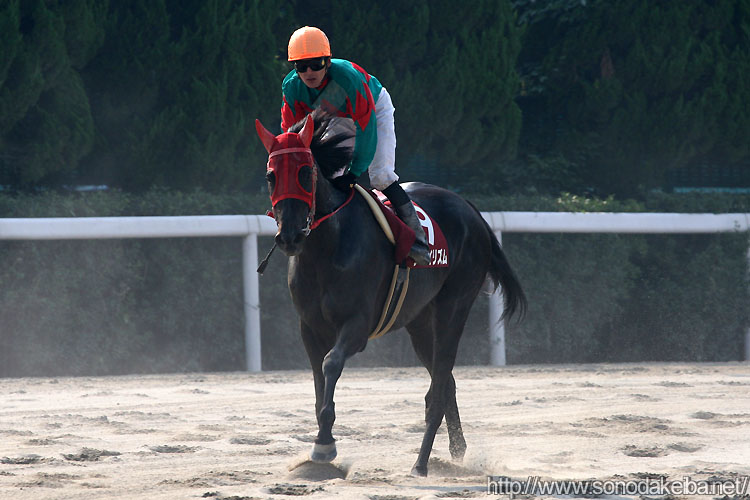 ���C�P�C���Y��