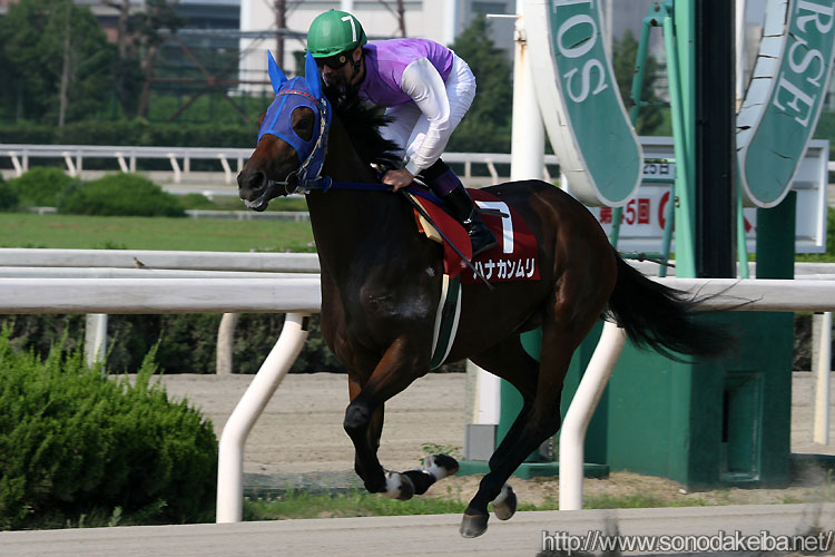 �n�i�J������