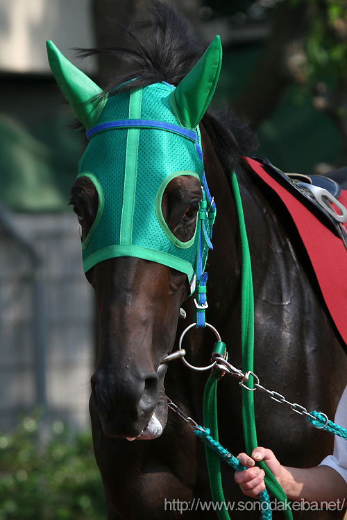 �I�[�X�~�|�b�v�X