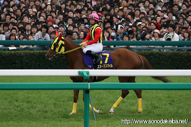 �_�C���X�J�[���b�g