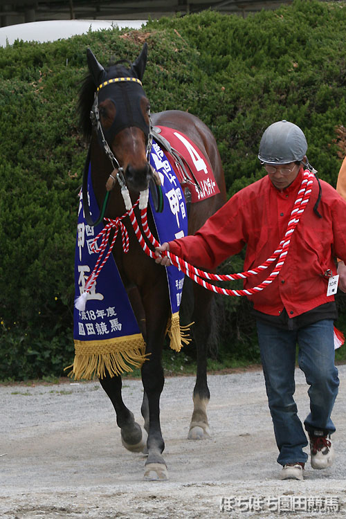 �^�K�m�C���f�B�[